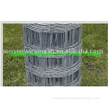 High Quality Field Fence(Factory)